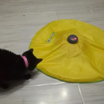 Neljak&auml;iguline elektriline kassim&auml;ngutaldrik, kassipulk, lemmiklooma p&ouml;&ouml;rlevad m&auml;nguasjad 4 t&uuml;&uuml;pi intelligentsed kassim&auml;nguasjad