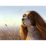 DIY 3D teemantmaaling loomakoerte tikandid ristpistes k&auml;sit&ouml;&ouml;na kodukaunistus Full Round 20x25CM