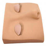 Harjutage ripsmete pikendamist Mannekeenipea treening kunstripsmete pikendamisega