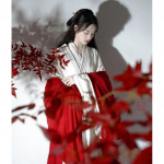 Hiina Wei ja Jini d&uuml;nastiate stiilis Hanfu punane haldja &uuml;likond Elegantne &uuml;likond naiste riided L