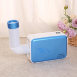 600 W multifunktsionaalne kuivati ​​majapidamises kasutatavale kaasaskantavale kiirelt soojenevale riidekuivatile lesta eemaldamise ja desinfitseerimisega jalatsikuivati Blue(dryer only)