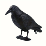 Decoracion Simulation Black Crow Raven Linnut&otilde;rje Kahjurit&otilde;rje Tuvit&otilde;rje Aiakaunistus &Otilde;ues
