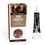 Fleurs d'&eacute;pices pour chocolat + Stylo de gla&ccedil;age noir