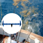 Karpkala &otilde;ngevarda tugipea vardahoidja Lihtne paigaldamine Mitmeotstarbeline haarats Type A