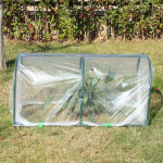 Majapidamine Aed V&auml;ike Soe Ruum Kasvuhoone R&otilde;du &Uuml;hendatav Taim Lill Kuur V&auml;ljas Lill Tuba Isolatsioonikuur