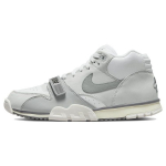 Nike Air Trainer 1 Photon Dust Meeste Tennised Hall Suitsuhall Valge DM0521-001 41