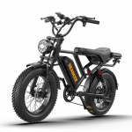 20-tollise paksukese rehviga elektrijalgratas HEADEER BK20 48V20AH aku 750W mootor Elektrijalgratas 150KG kandev&otilde;ime 80KM s&otilde;iduulatus Maastiku-e-jalgratas