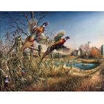 Teemantmaalimine Austraalia papagoi tikkimine linnud Pilt rhinestone'ist lastetoa kleebis 20X30CM