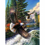 T&auml;is&uuml;mmargune puur isetehtud 5D teemantmaal Soaring Eagle teemanttikandid 20X30CM