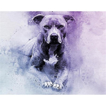 T&auml;ielik &uuml;mmargune 5D Teemantmaaling Sketch art dog tikandid Ristpistes Kodukaunistus K&auml;sitsi valmistatud kingitus 25x30cm