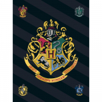 Harry Potteri fliis tekk &ndash; tekk 100 x 140 140 x 100 must