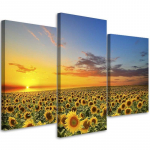 Kolmeosalise pildiga l&otilde;uenditr&uuml;kk Sunflowers Sunset 60x40 kollane