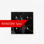 BTS 2. album WINGS RANDOM 1PCS