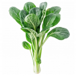 200 Tatsoi hiina kapsa seemet