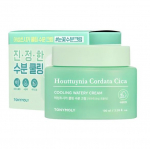 TONYMOLY Houttuynia Cica Cooling Cream 100ml | Soothing & Hydrating Gel for Sensitive Skin 100ml