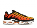 Nike Air Max Plus 2024 P&auml;ikeseloojang - HF0552-001 EU 40.5 oranž