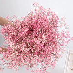 Kuivatatud lilled Gypsophila kimp Iivoori valged lilled Looduslikud Gypsophila oksad Kodu kaunistamiseks Pulmalilled Hulgim&uuml;&uuml;k Vaasi jaoks 100g