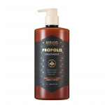 KERASYS Propolis Kahjustatud Juuste Parandushooldus 1L