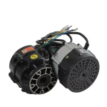 Harjadeta Elektri Diferentsiaalmootor K&auml;igukast 48V 1000W Go Karti ATV Kolmerattalise jaoks black