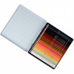 BRUSTRO Kunstnikuv&auml;rvipliiatsid Nahatoonid| Komplekt 24 tk (elegantses plekkarbis) | Ideaalne v&auml;rvimiseks, erksad toonid, inimene 1 count (Pack of 24) mitmev&auml;rviline