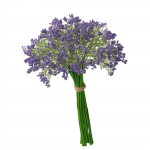 Gypsophila Lilled Kimbud Kunstlilled Gypsophila Lilleline Siidililled lilla