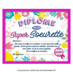 Les Tr&eacute;sors De Lily [Q9597] - Cadre 'Dipl&ocirc;me de la Super Soeurette' rose - 25x20x1. 5 cm Heleroosa