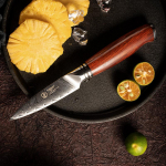 YARENH l&otilde;ikamisnoad Jaapani 73 kihiline damaskuse teras K&auml;sitsi valmistatud Premium Dalbergia k&auml;epide Sharp V&auml;ike nuga k&ouml;&ouml;gi l&otilde;ikamiseks puuviljade koorimiseks