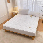 Tepitud veekindel puuvillane madratsikate Paks madratsikaitse, varustatud voodilina elastse kaheinimesevoodi kattega kaheinimesevoodiga 80x200x30cm