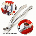 1 tk Kvaliteetne hambaravi t&auml;iskasvanute hammaste v&auml;ljat&otilde;mbamise tang. Hammaste v&auml;ljat&otilde;mbamise tang Hambaarsti t&ouml;&ouml;riistad Tangid 1 piece N