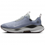 Nike ReactX Infinity Run 4 GORE-TEX Ashen Slate Meeste tossud Sinine Valgus-Pumice Tume-Suitsune-Hall HQ0265-400 41