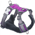 Harnais pour Chien - RED DINGO - Dingo - Violet - Taille S - 30-47 cm puhas