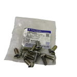 OEM Suzuki SJ413 SJ410 Esimese ukse hingede kruvid 10 tk Samurai Sierra Drover
