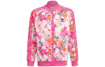 Adidas Originals Joped & Mantlid Lastele Roosa GN4218 164
