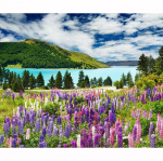 Teemantmaal ristpistes maastik 5D teemanttikandid Lilled Lake DIY T&auml;is&uuml;mmargune teemantmosaiik n&auml;put&ouml;&ouml; 20X30CM