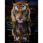 5D isetehtud teemantmaaling T&auml;is&uuml;mmargused mosaiikkaunistused koduse tikandi jaoks k&auml;sitsi valmistatud kingitus 20X30CM