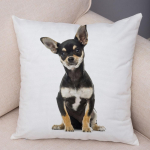Armas lemmikloomade padjap&uuml;&uuml;r Dekoratiivne armas kutsika chihuahua padjap&uuml;&uuml;r Pehme pl&uuml;&uuml;sist padjap&uuml;&uuml;r autodiivanile koju 45x45cm 45x45cm