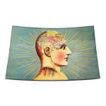 Les Tr&eacute;sors De Lily [A1411] &ndash; t&uuml;hi klaaskauss  Frenoloogia  (pea) - 23x15x3 cm roheline