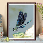 5D DIY Teemantmaal Dragonfly Painting Ristpistes Mosaiik Teemanttikandid Roos T&auml;is &uuml;mmargune/ruudukujuline puur Kodukaunistus Round 30x40cm