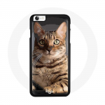 Bengali kassi Iphone 8 &uuml;mbris