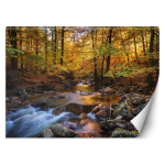 Tapeet Metsaj&otilde;e maastik 100x70 oranž