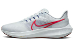 Nike Air Zoom Pegasus 39 Hall Erepunane DH4071-007 40.5