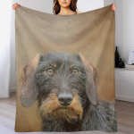Traadikarvaline taksikoer viskepadi masinpestav pehme soe tekk 102x76cm(40x30in)
