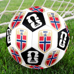 1 tk Norra Vapp Suurus 5 Jalgpall Professionaalne Mat&scaron;i Treeningjalgpall Sise- ja V&auml;listingimustes Spordipall Klubi Treeningpall Kerge Vastupidav y24 Size 5
