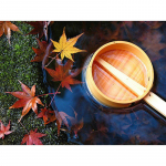 T&auml;is&uuml;mmargune puur Teemanttikandid Vahtraleht 5D DIY Teemantmaal Ristpistes Rhinestone 20X30CM