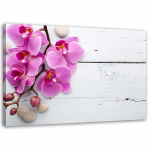 L&otilde;uenditr&uuml;kk Pink Orchids Flower 60x40 roosa