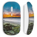 Juhtmeta maastikuhiir