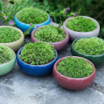 Armas j&auml;&auml;pragune glasuur Lillekeraamika sukulentide istutusmasin Mini taimepott Aia lillepott kodukontori sisekujunduseks taimepott