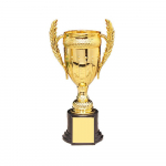 V&otilde;istlus Jalgpalli V&auml;ikese Auhinna Karika Laste K&auml;sit&ouml;&ouml; Suveniirid Laste Auhind 16.5cm-Without lid