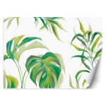 Tape Monstera lehed 100x70 valge