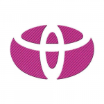 HASEPRO Magical Carbon [Esiembleem] (Roosa) Toyota Hiace kaubik / Lactis CEFT5P roosa